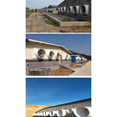 20190905_065640000_iOS.png